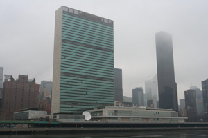 День государственной службы ООН