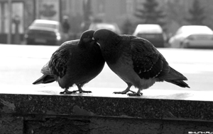 Всемирный день поцелуя